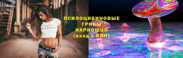 шишки Михайловск