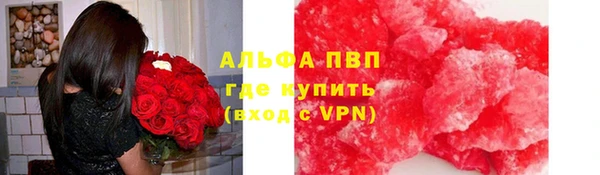 шишки Михайловск