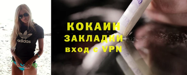 шишки Михайловск