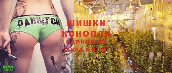 гашик Михайлов