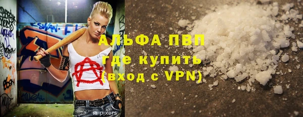 гашик Михайлов