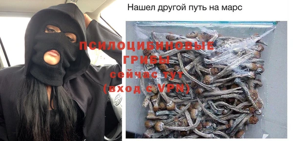 гашик Михайлов