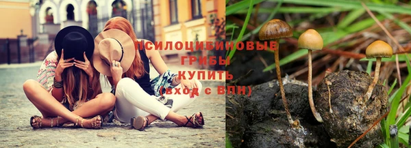 шишки Михайловск