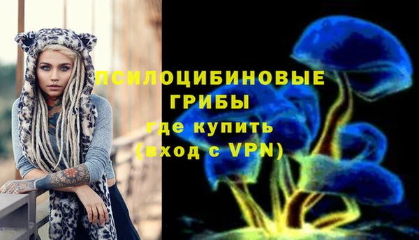 ешки Навашино