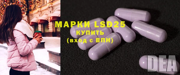 шишки Михайловск