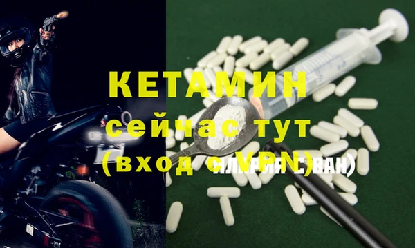 шишки Михайловск