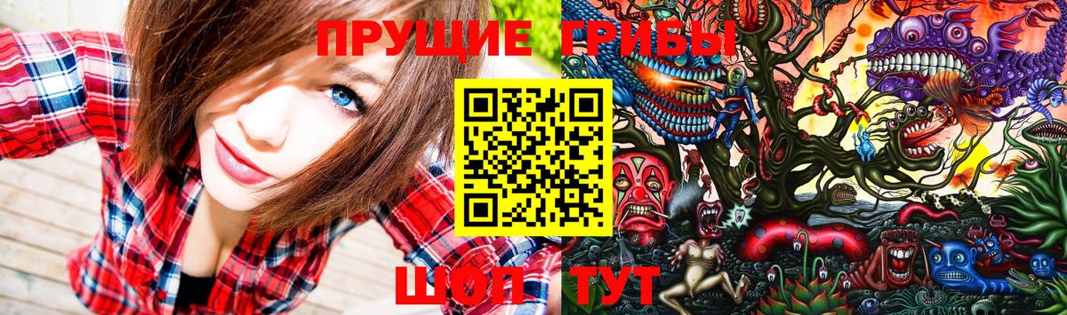 Псилоцибиновые грибы Psilocybine cubensis  Псилоцибиновые грибы прущие грибы  Тара 