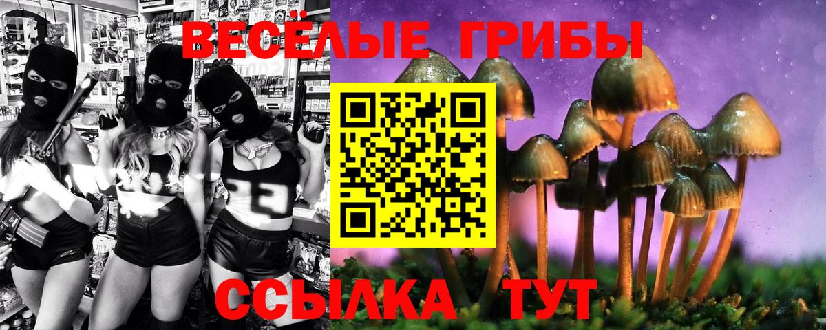 купить  сайты  Псилоцибиновые грибы мицелий  Тара  Вход с VPN  Галлюциногенные грибы Cubensis 