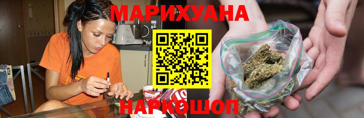 МАРИХУАНА сатива  Канабис Bruce Banner  Тара  МАРИХУАНА планчик  МАРИХУАНА тримм 